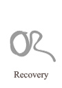 Recovery for Money