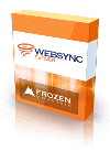 WebSync Server