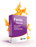 Fenix Server